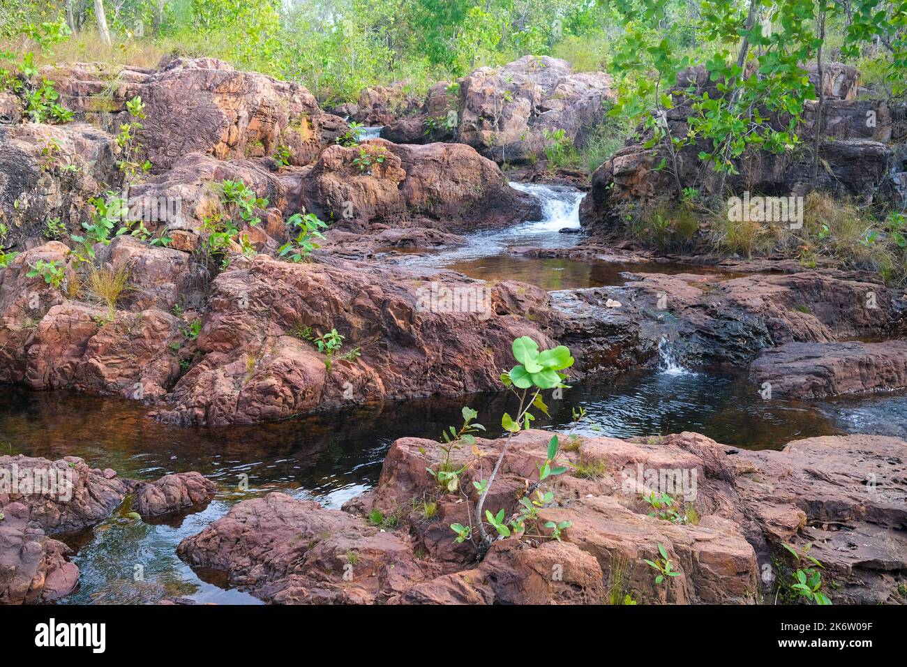 Bluey Rock Hole in  Litchfield National Park, Northern Territory, Australia Stock Photo