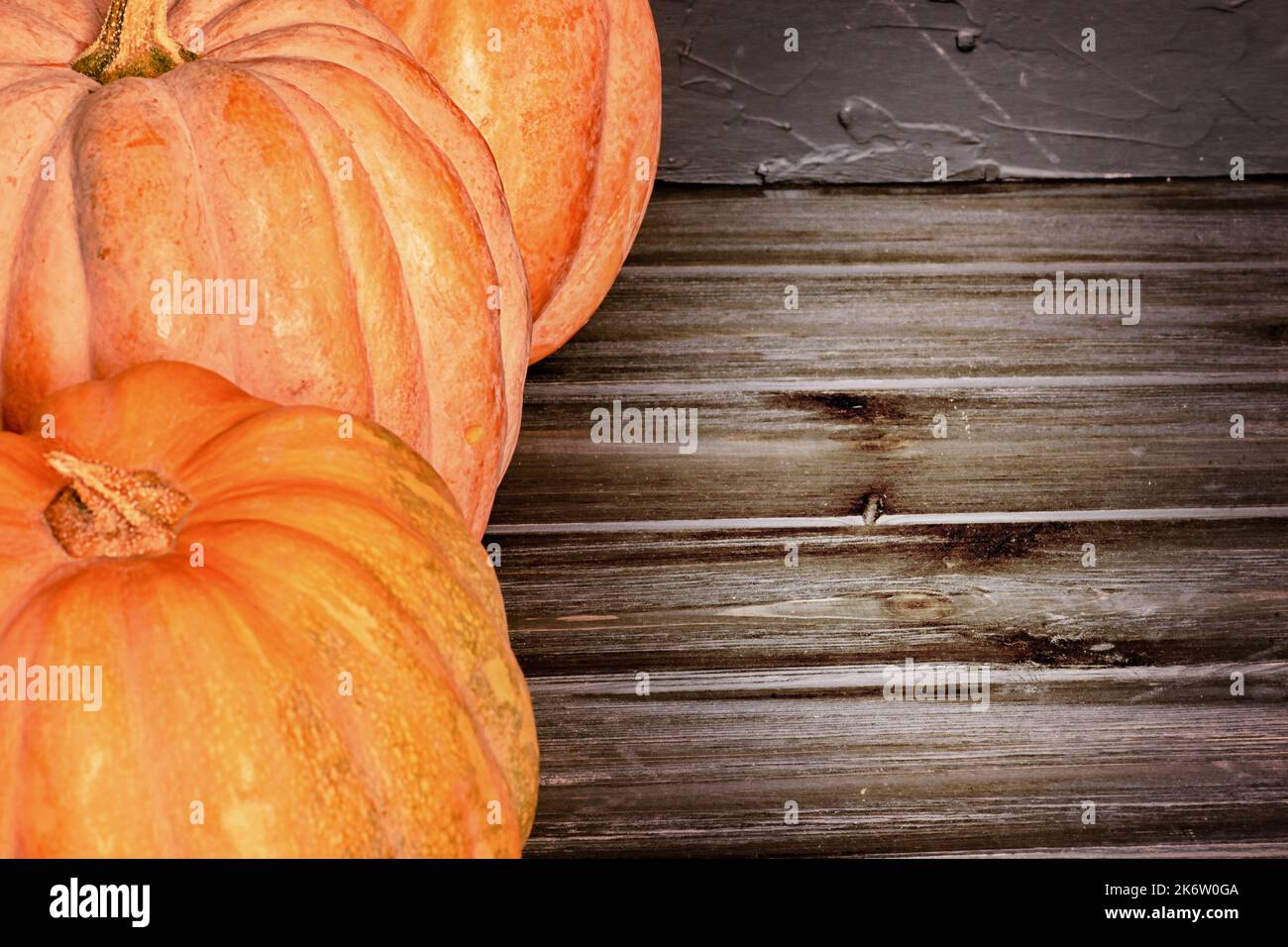 Black background pumpkins hi-res stock photography and images - Alamy