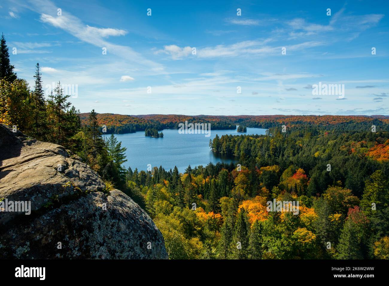Panorama of Algonquin park in fall - trees and lake Stock Photo - Alamy