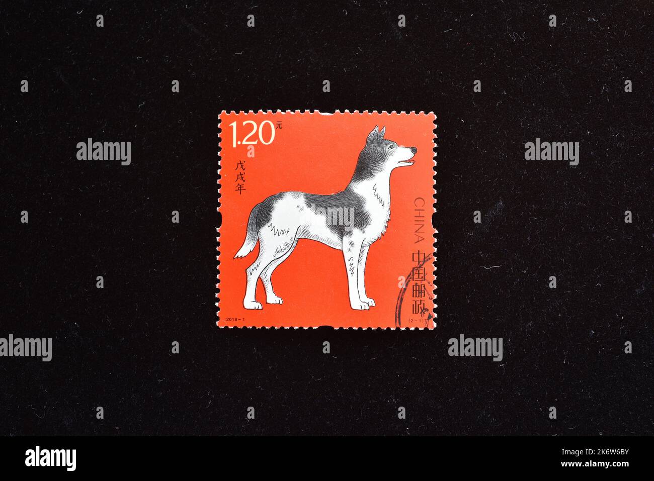 CHINA - CIRCA 2018: A stamps printed in China shows lunar year zodiac animals dog Stamp 2018-1 Wu Xu Year (Year of Dog), circa 2018. Stock Photo