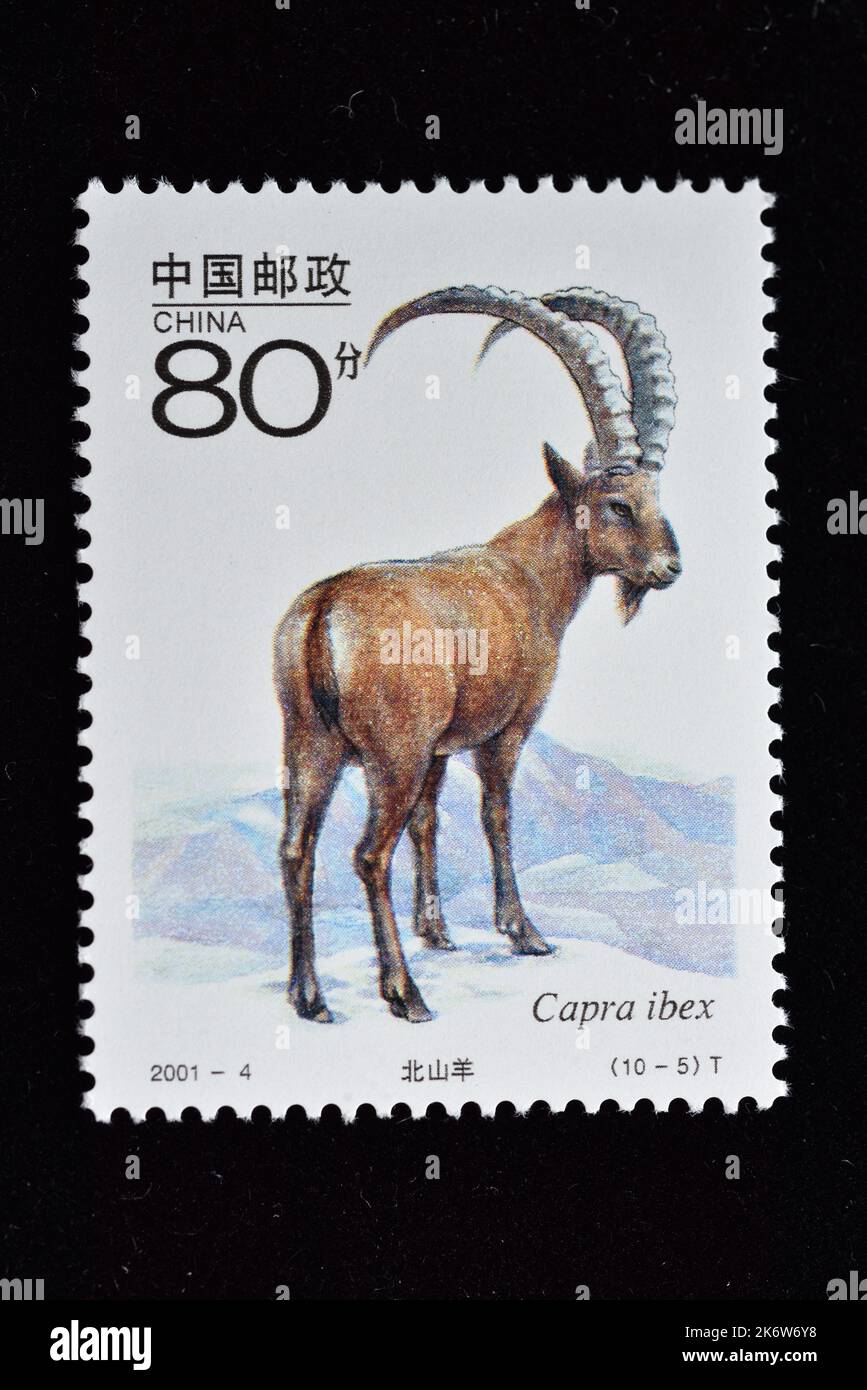 CHINA - CIRCA 2001: A stamp printed in China shows 2001-4, Scott 3091 Key Wild Animals under First-Grade State Protection in China(II) , circa 2001 Stock Photo