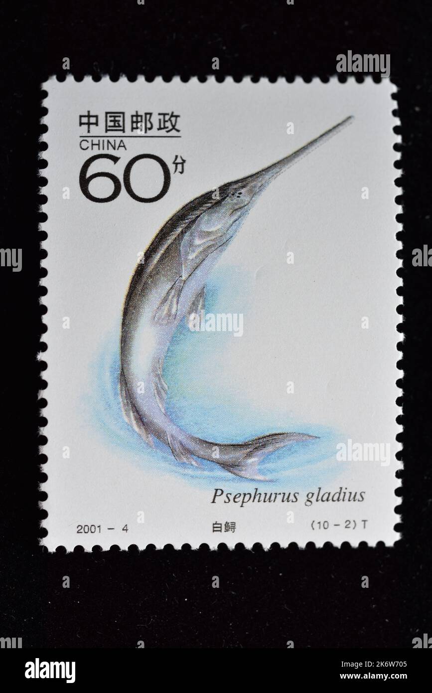CHINA - CIRCA 2001: A stamp printed in China shows 2001-4, Scott 3091 Key Wild Animals under First-Grade State Protection in China(II) , circa 2001 Stock Photo