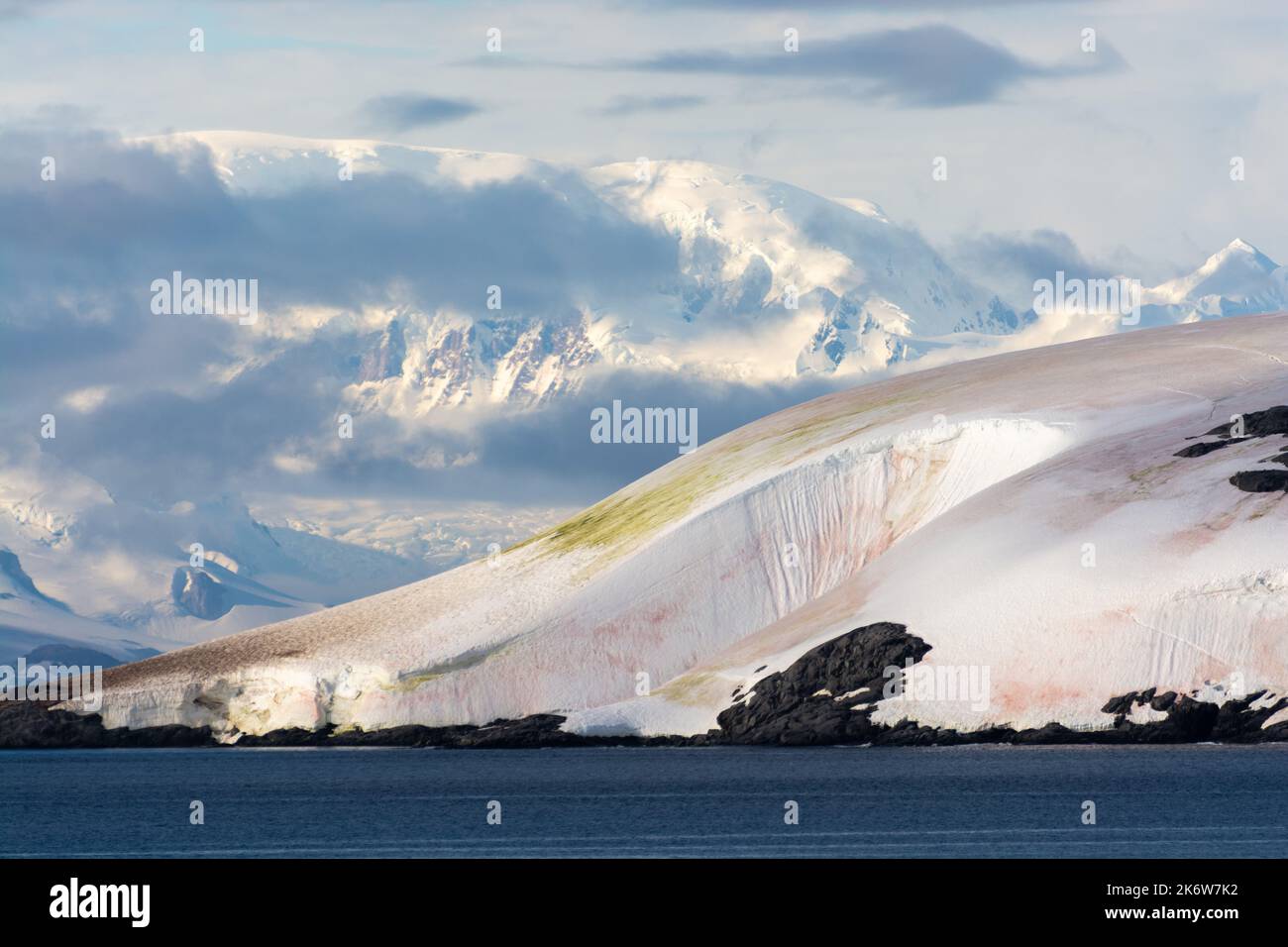 red and green algae staining snow on island in schollaert channel. antarctic peninsula. antarctica Stock Photo
