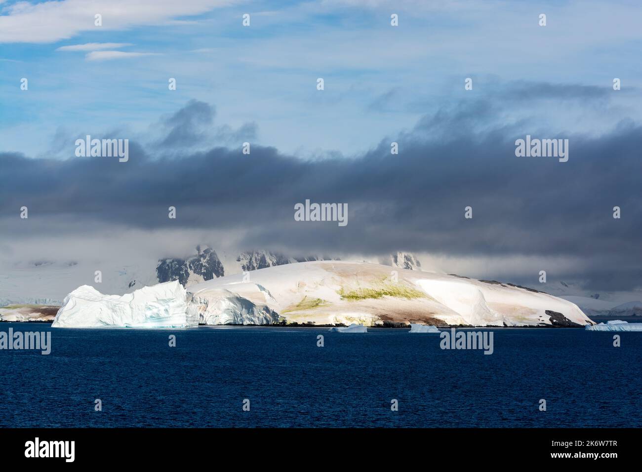 red and green algae staining snow covered island. dallmann bay