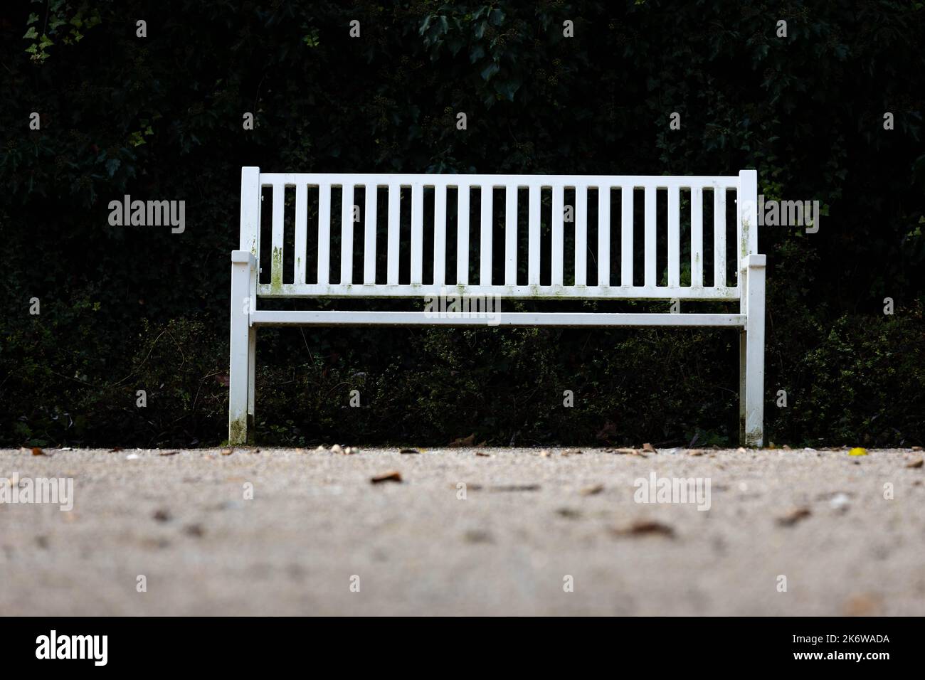old park bench in a park in autumn Stock Photo