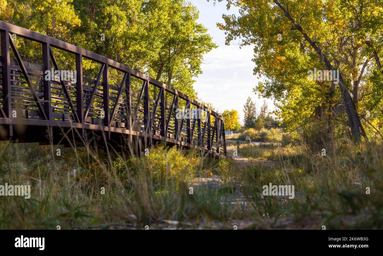 Scenery Autumn Landscape in Cherry Creek Valley Ecological Park