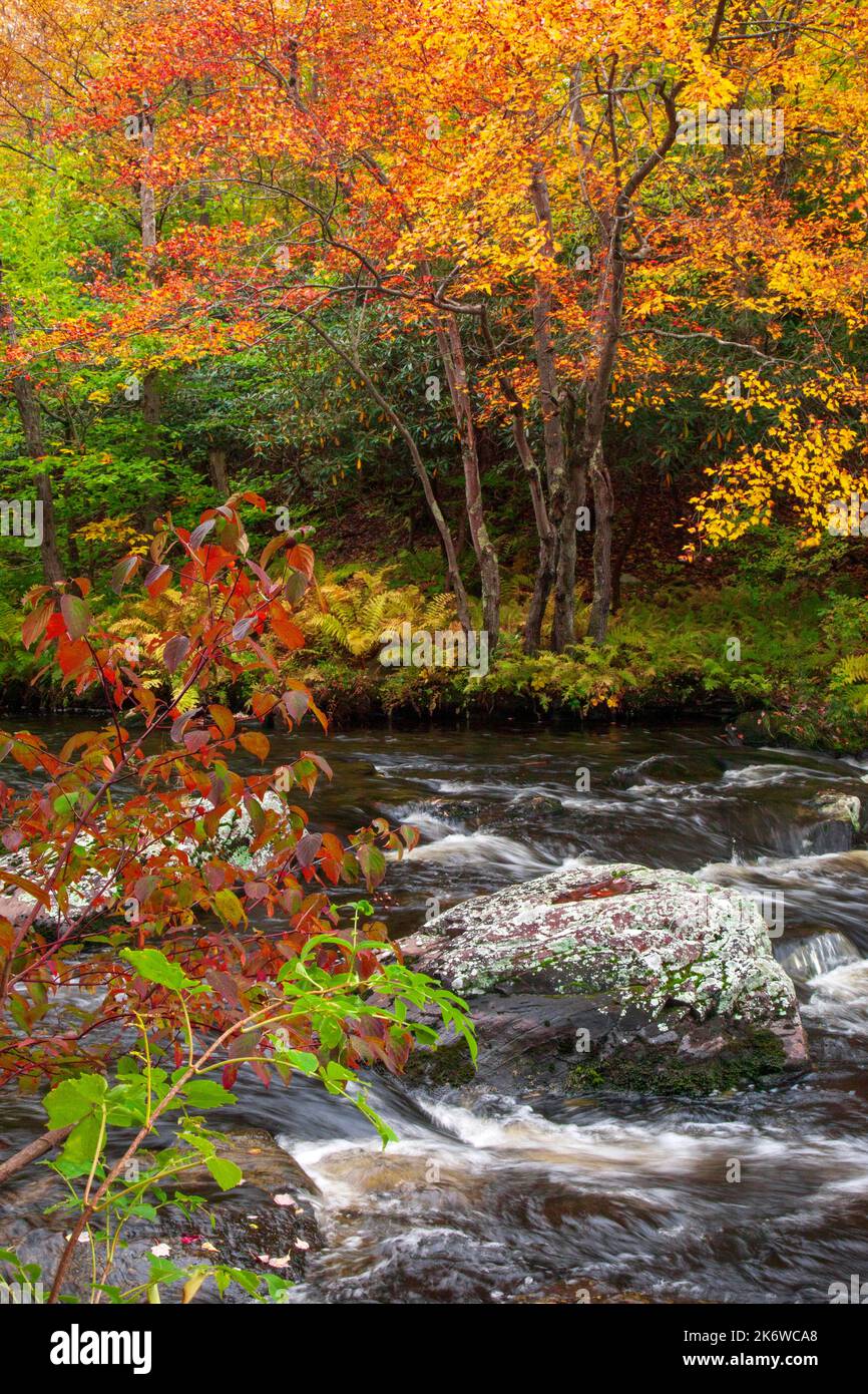 Tobyhanna Creek, is a high quality trout stream,. It is 29.9milelong