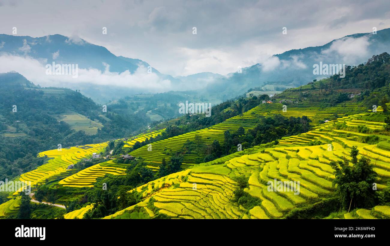 The majestic terraced fields in Ha Giang province, Vietnam. Rice fields ...