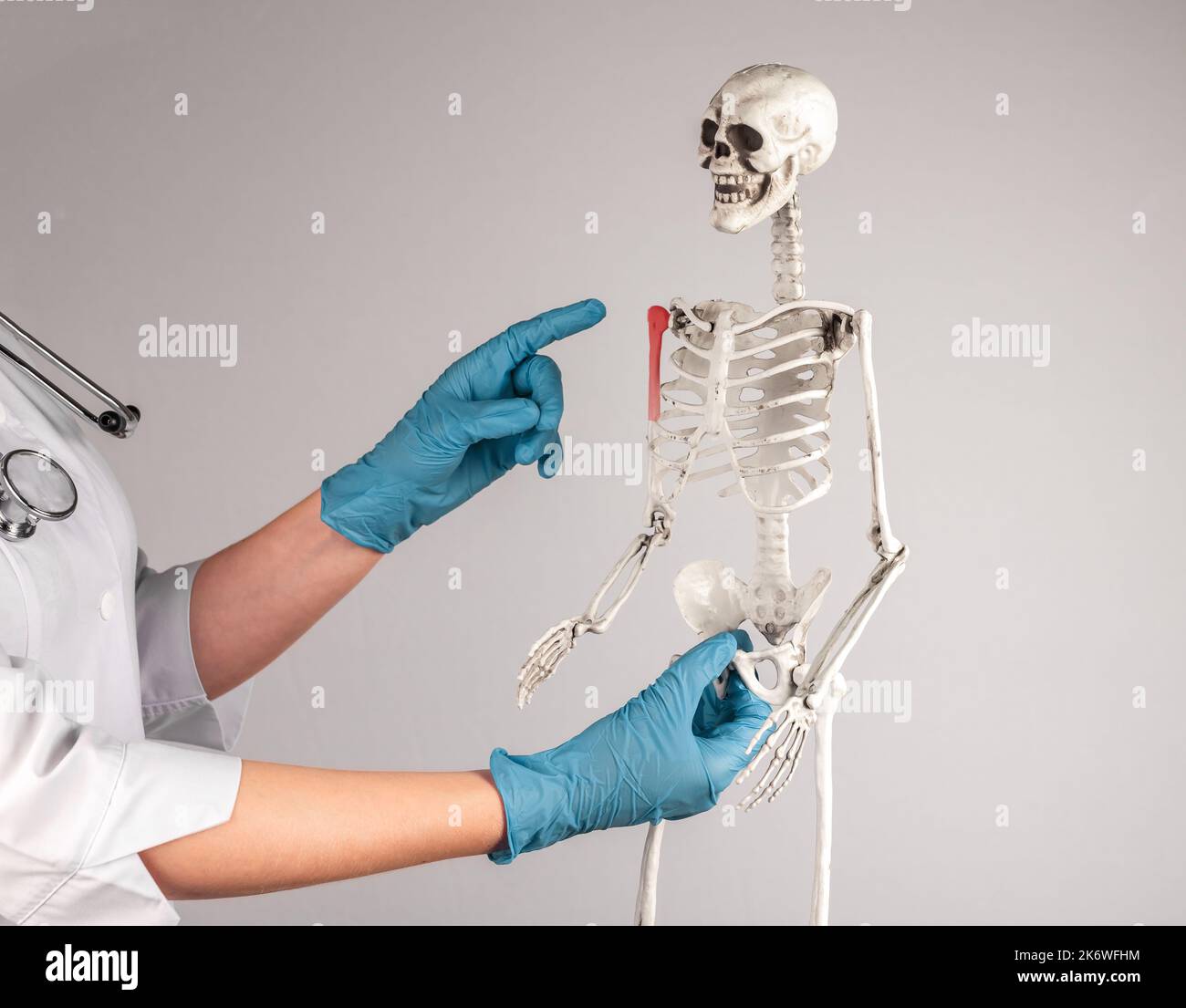 Shoulder bone pain, fracture, injury shown on skeleton. High quality photo Stock Photo