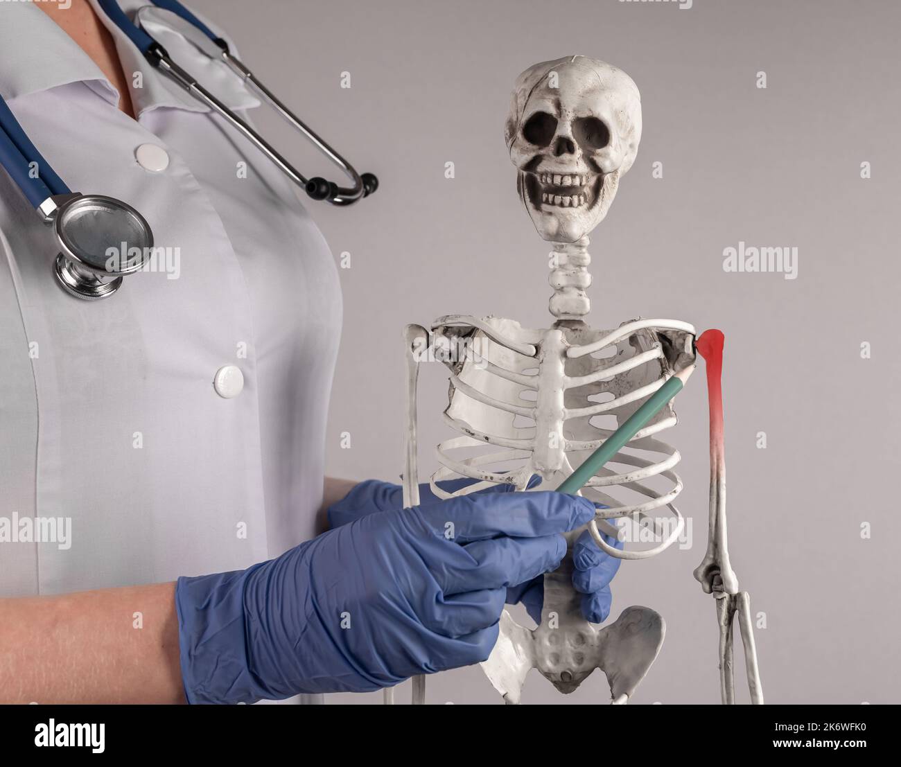 Shoulder bone pain, medical skeleton anatomy. High quality photo Stock Photo