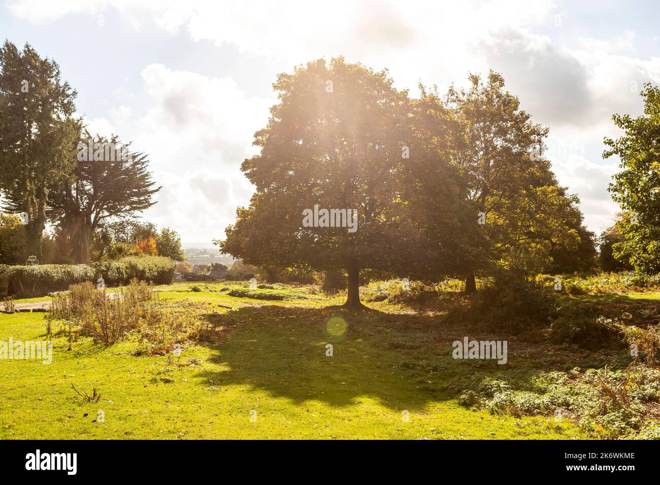 Summer slipping into Autumn at Bricher Common, Herefordshire. UK Stock Photo