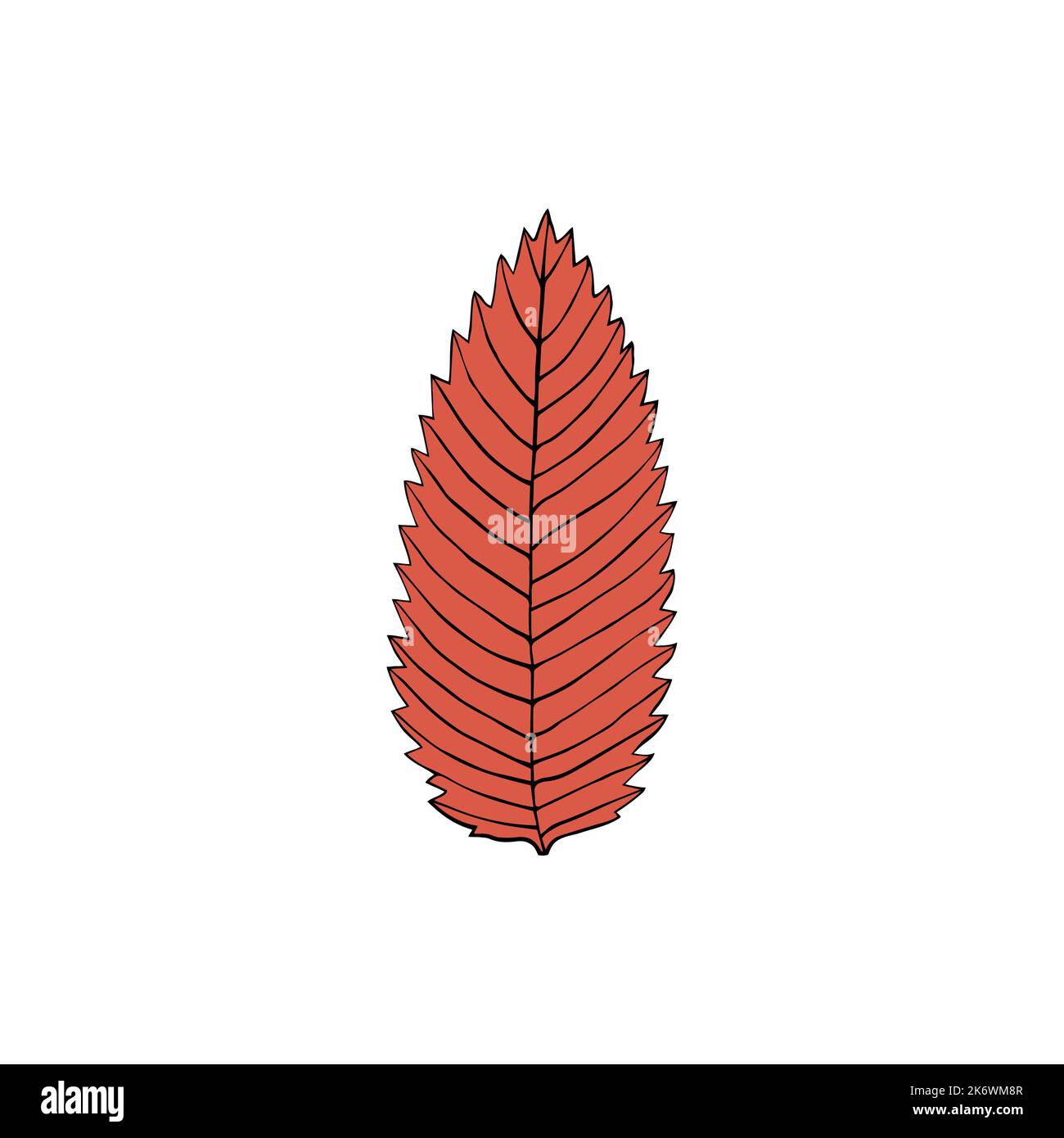 Vector illustration of ashberry leaf in cartoon style. Colorful isolated element for graphic design Stock Vector