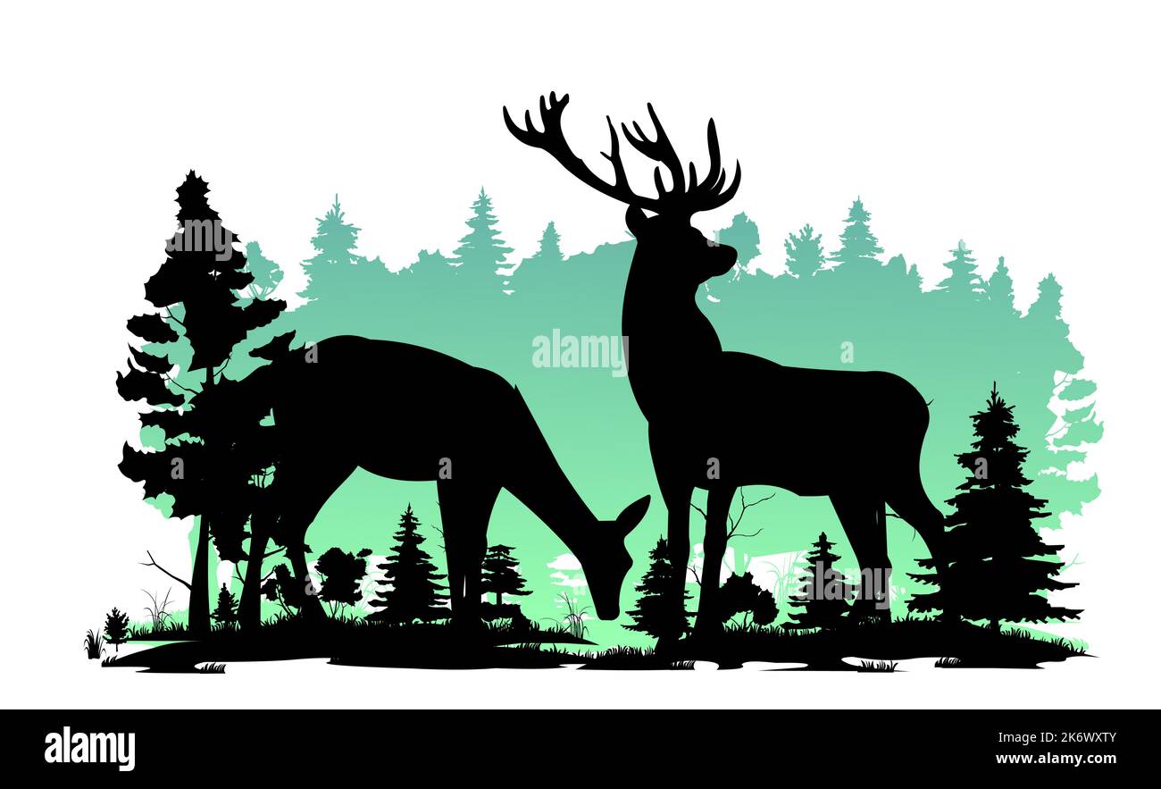 Wild animals. Silhouette figures. Glade in coniferous northern forest taiga. Isolated on white background. Vector Stock Vector