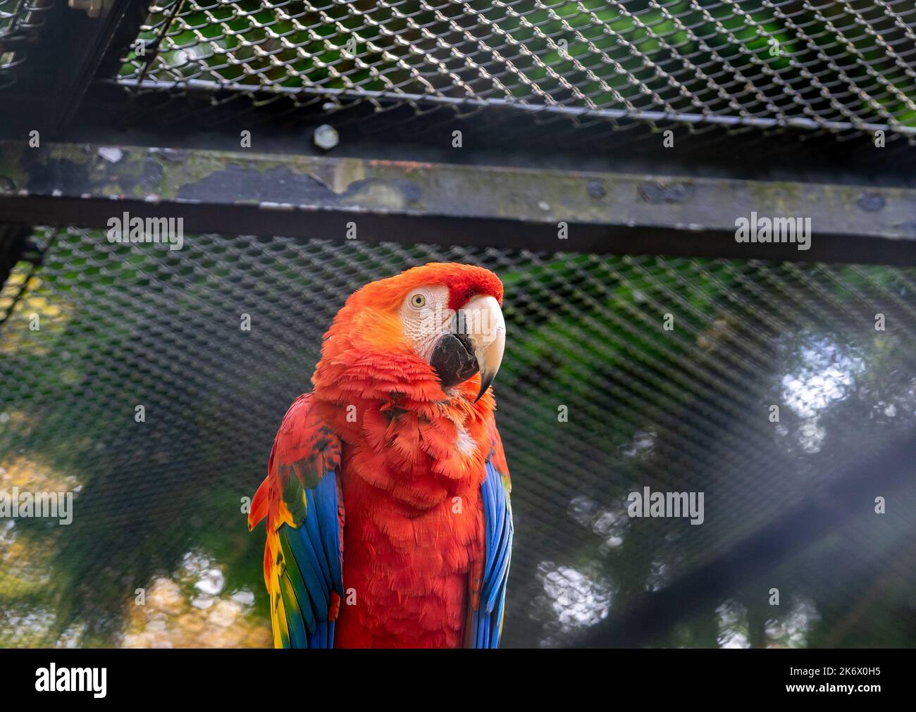 Gallery image with a fresh perspective