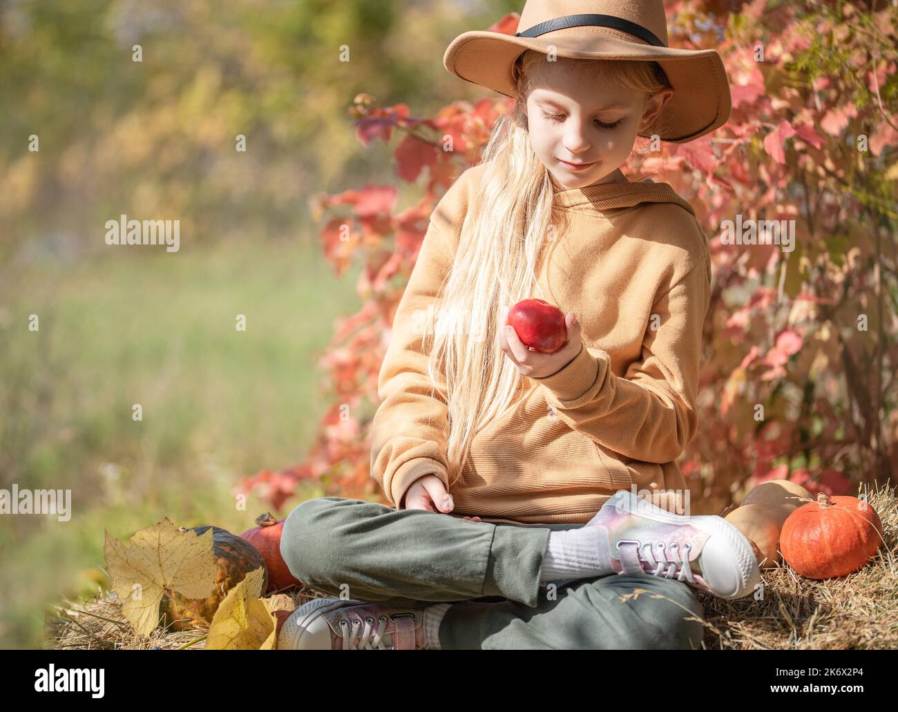 Little girls sitting among hay bales and pumpkins in the autumn garden ...