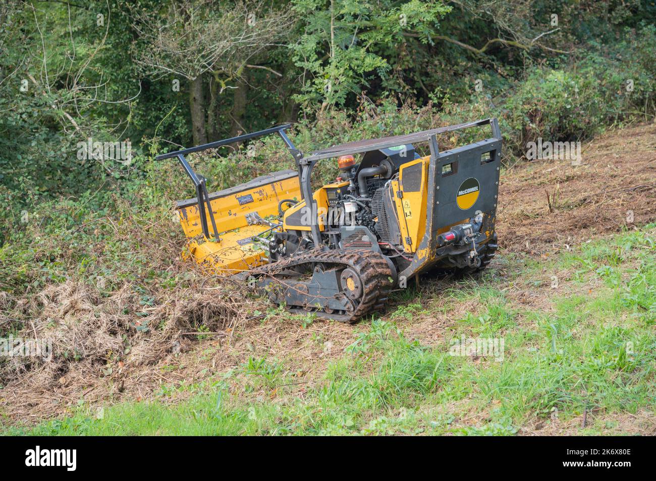 Robocut remotely controlled tracked mower cutting bramble in field, Carmarthenshire, Wales, UK Stock Photo