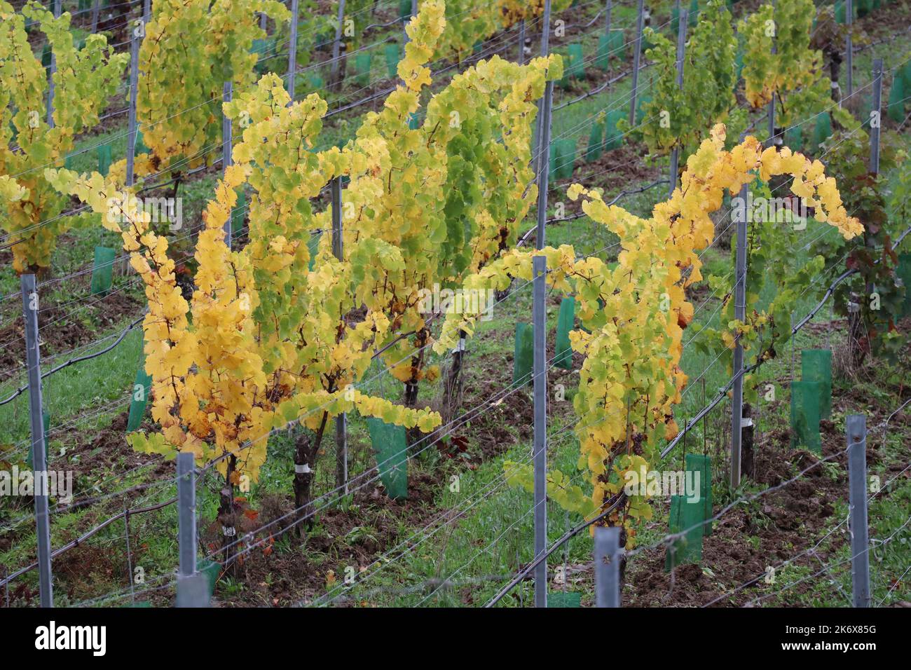 Staggered shape hi-res stock photography and images - Alamy