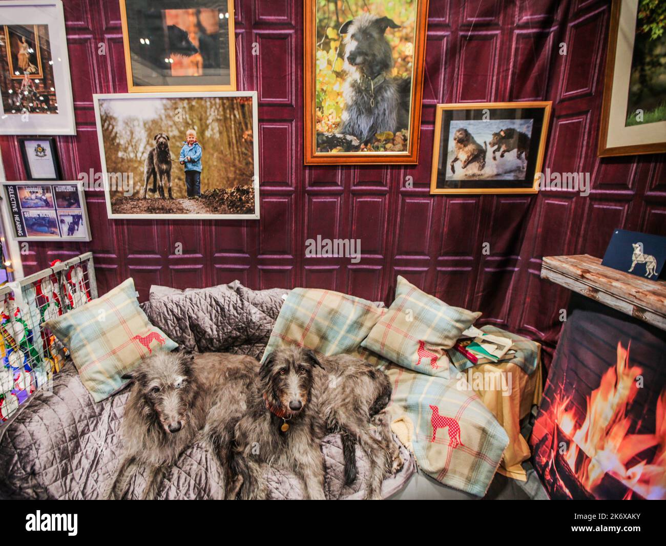 London UK 16 Oct. 2022 Home sweet home, Organised by The Kennel Club