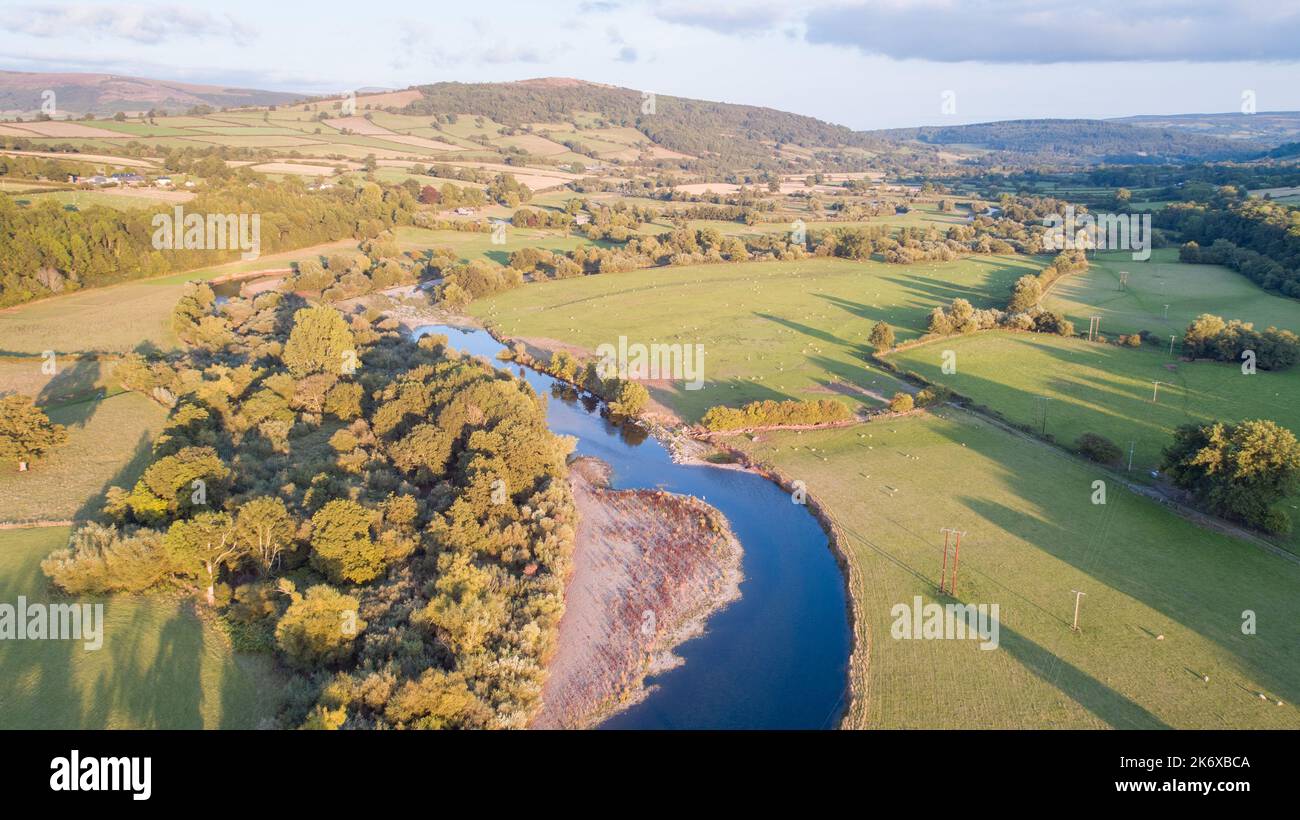 River usk wales sheep hi-res stock photography and images - Alamy