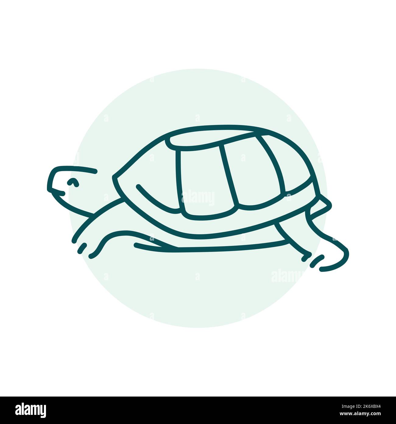 Turtle color line illustration. Animals of Australia Stock Vector Image ...
