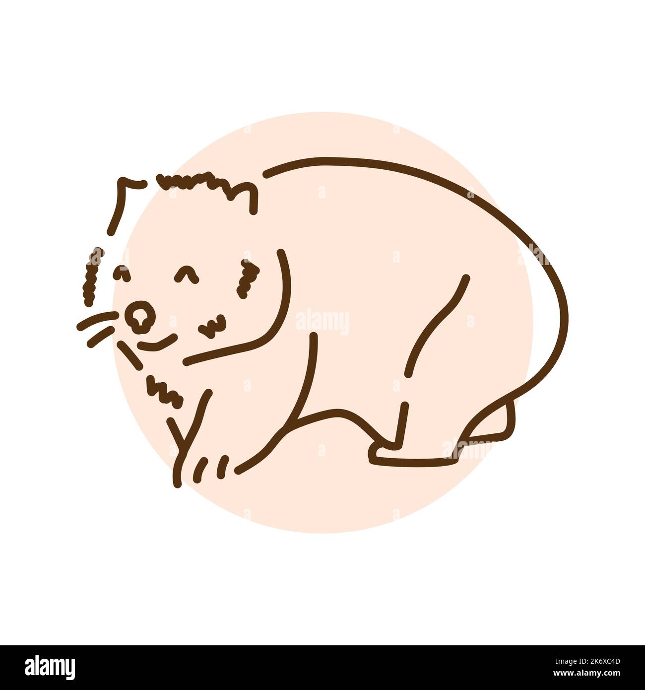 Australian wombat color line illustration. Animals of Australia Stock