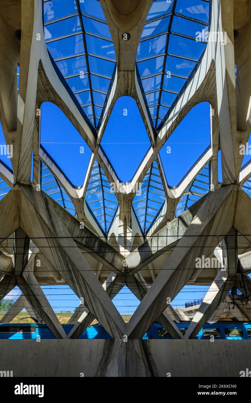 Lyon, Flughafen Saint-Exupery, Flughafenbahnhof Satolas von Architekt Santiago Calatrava, Rhone Alpes, Frankreich // Lyon, Airport Lyon Saint-Exupery, Stock Photo