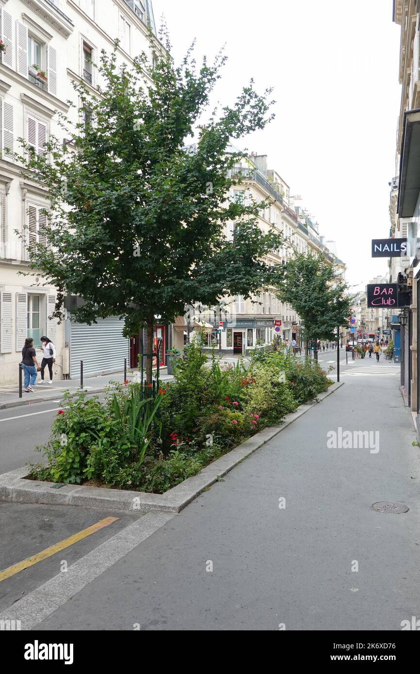 Paris, Rue Blanche, Straßenbegrünung // Paris, Rue Blanche, Greening Stock Photo