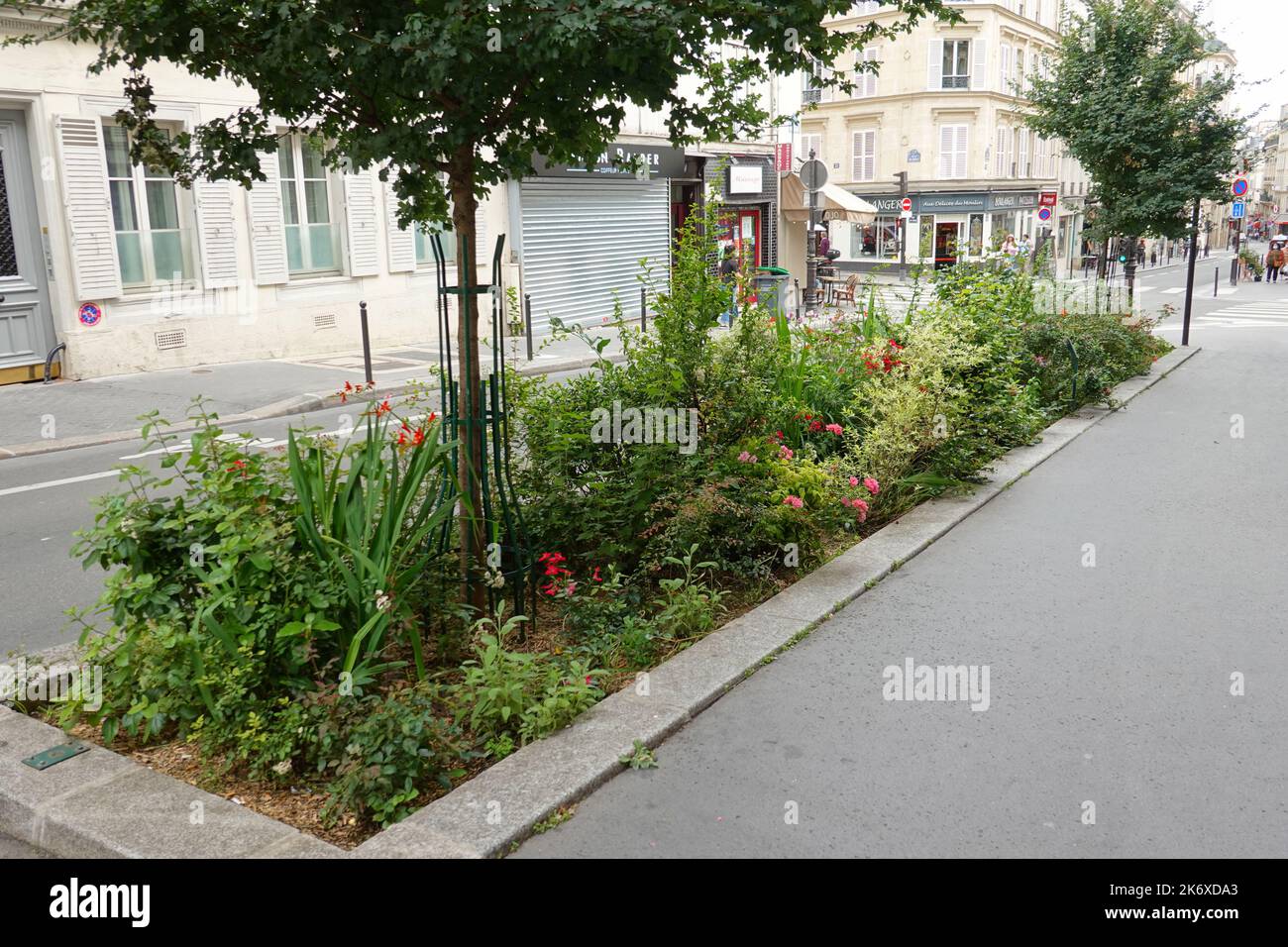 Paris, Rue Blanche, Straßenbegrünung // Paris, Rue Blanche, Greening Stock Photo