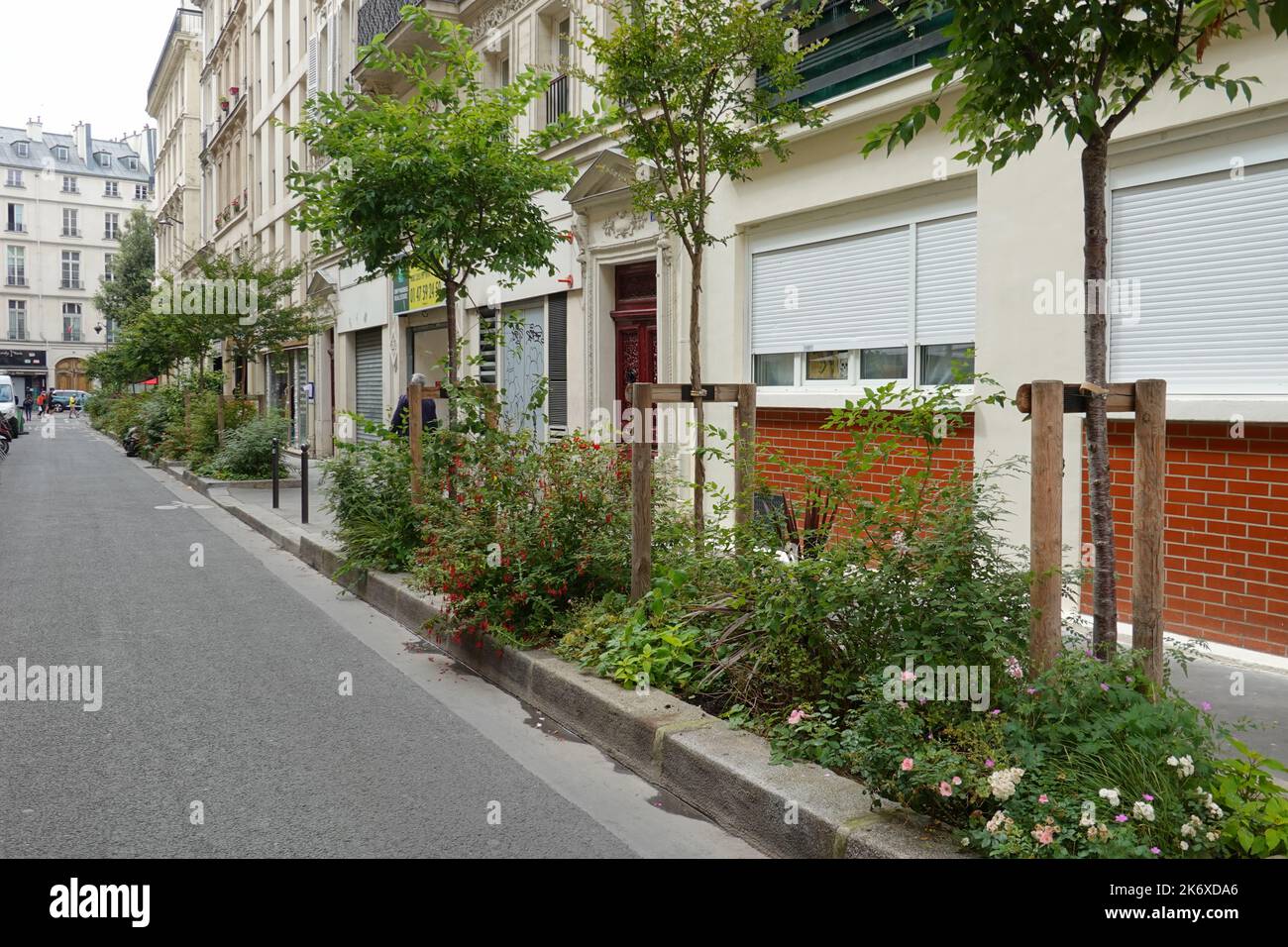 Paris, Rue Montyon, Straßenbegrünung // Paris, Rue Montyon, Greening Stock  Photo - Alamy