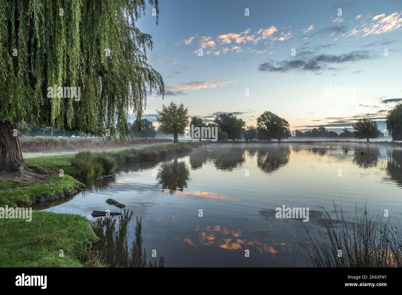 Fresh autumn morning as the sun is about to rise over ponds at Bushy Park in Surrey England Stock Photo