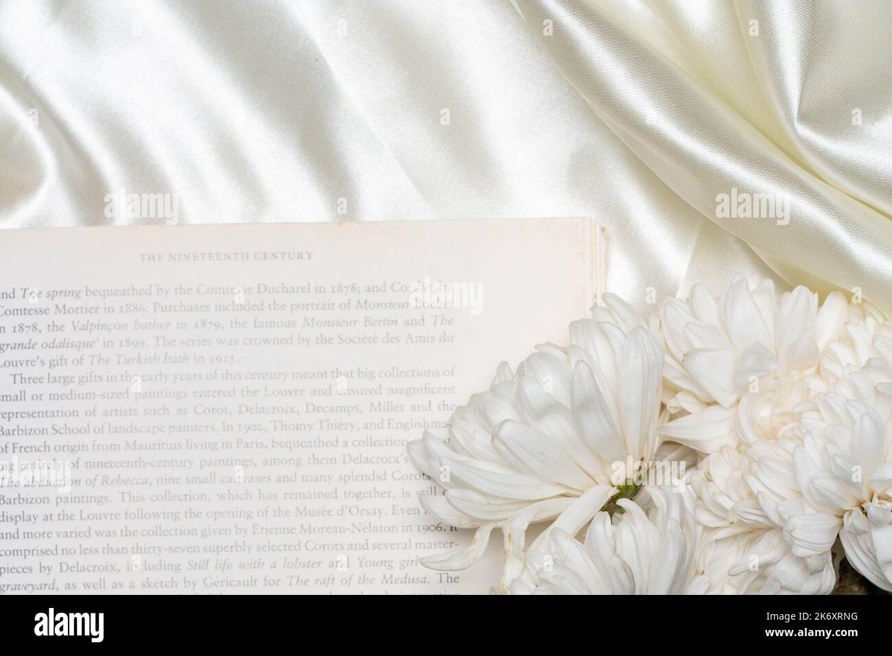 Beautiful flower concept, White chrysanthemum on the books over white cloth background. Stock Photo