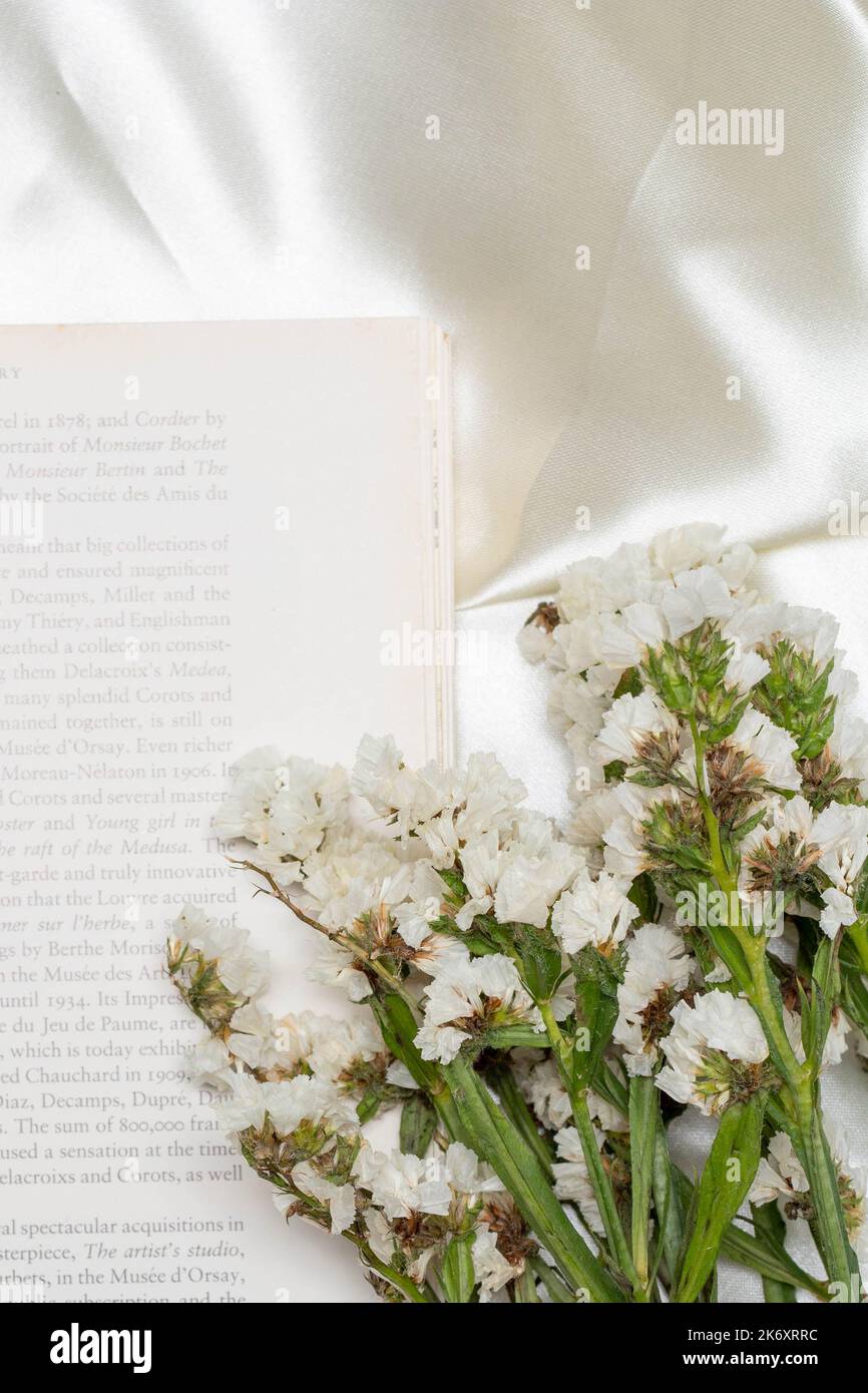 Beautiful flower concept, White statice flower on the books over white cloth background. Stock Photo