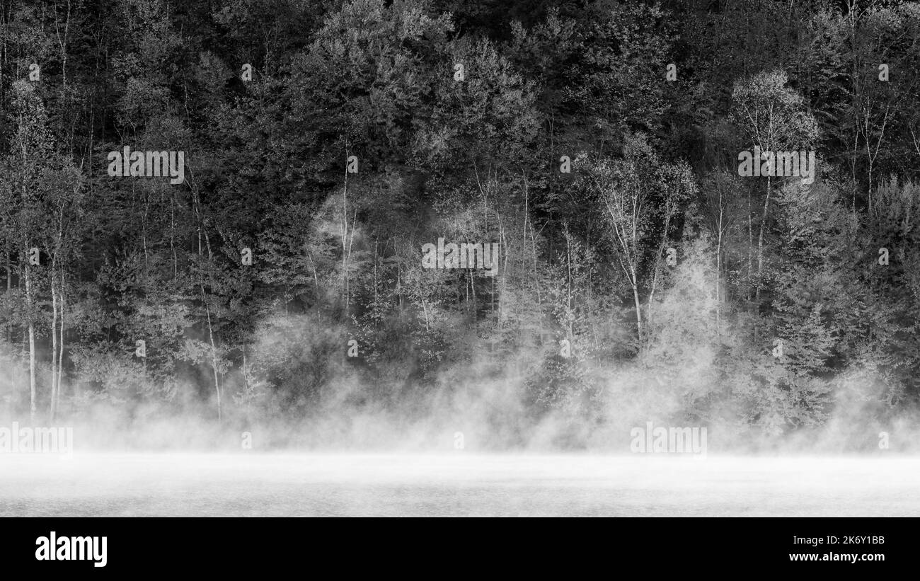 Haze Black and White Stock Photos & Images - Alamy