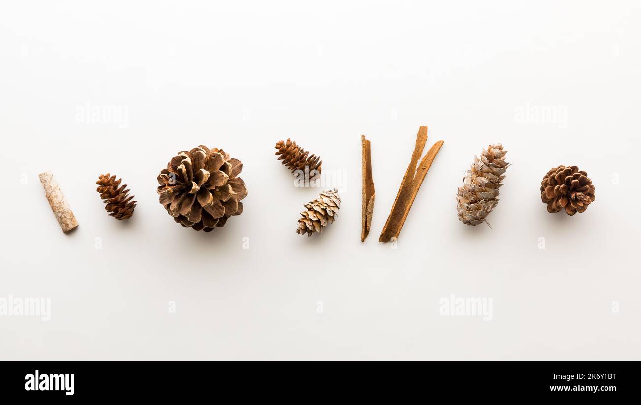 A row of woody pinecones and sticks, against a white background Stock ...