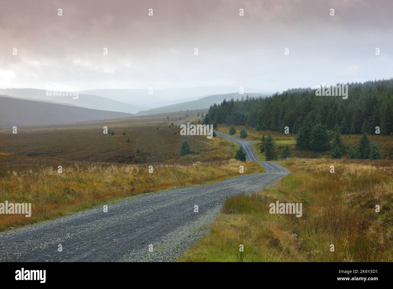 View of Keilder Forest drive, Northumberland, England, UK. Stock Photo
