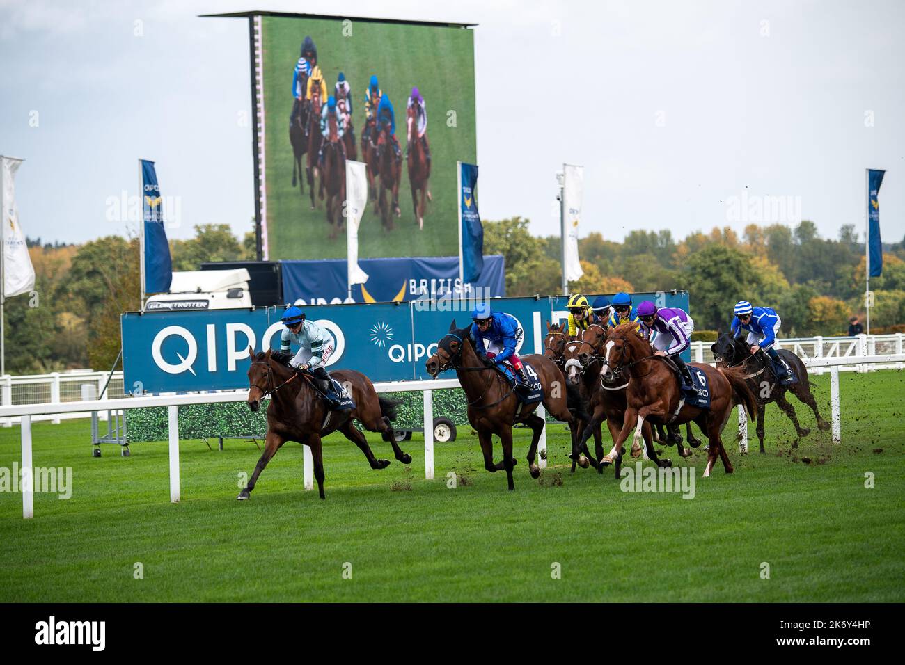 Ascot, Berkshire, UK. 15th October, 2022. Horse Quickthorn ridden by jockey Tom Marquand takes in the lead in the first mile of the QIPCO British Champions Long Distance Cup (Class 1) (Group 2) (British Champions Series). Trainer Andrew Balding, Kingsclere. The race was won by horse Trueshan ridden by jockey Hollie Doyle. Credit: Maureen McLean/Alamy Stock Photo