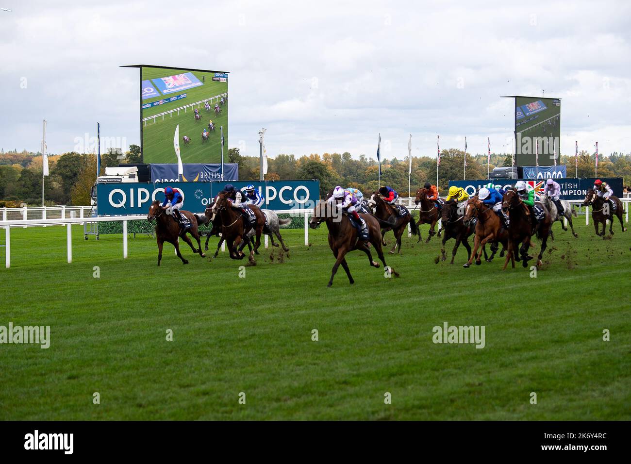 Ascot, Berkshire, UK. 15th October, 2022. Horse Kinross (far right