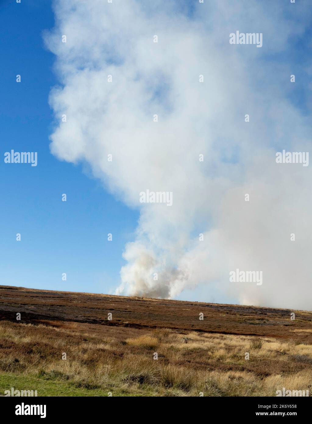 Controlled heather burning on the North Yorkshire Moors to prevent it growing long and lank, which reduces its nutritional value for grouse Stock Photo