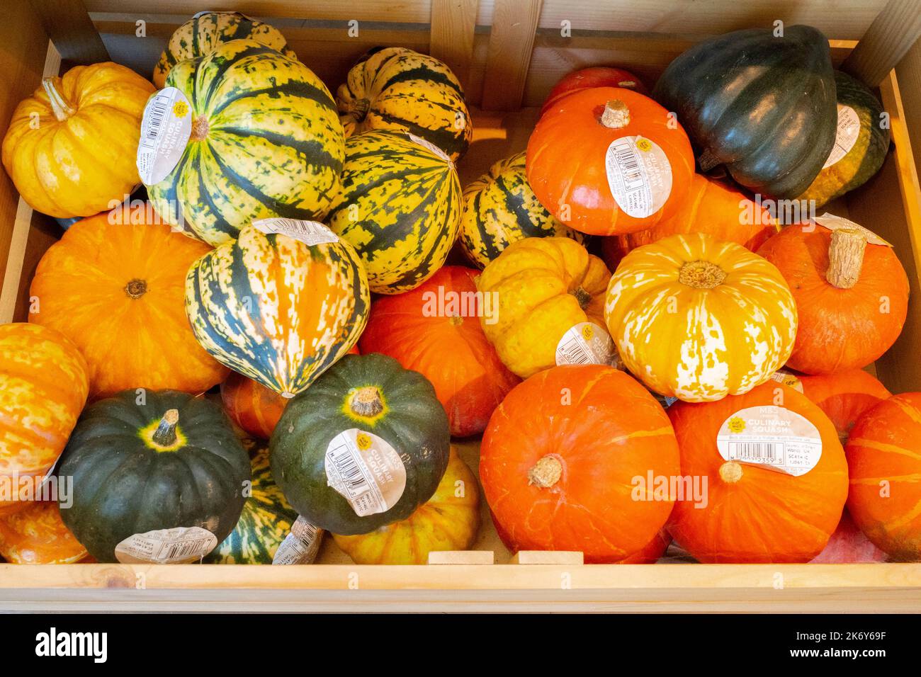 A display of the many types of coloured culinary squashes for sale in a grocers shop for Halloween Stock Photo