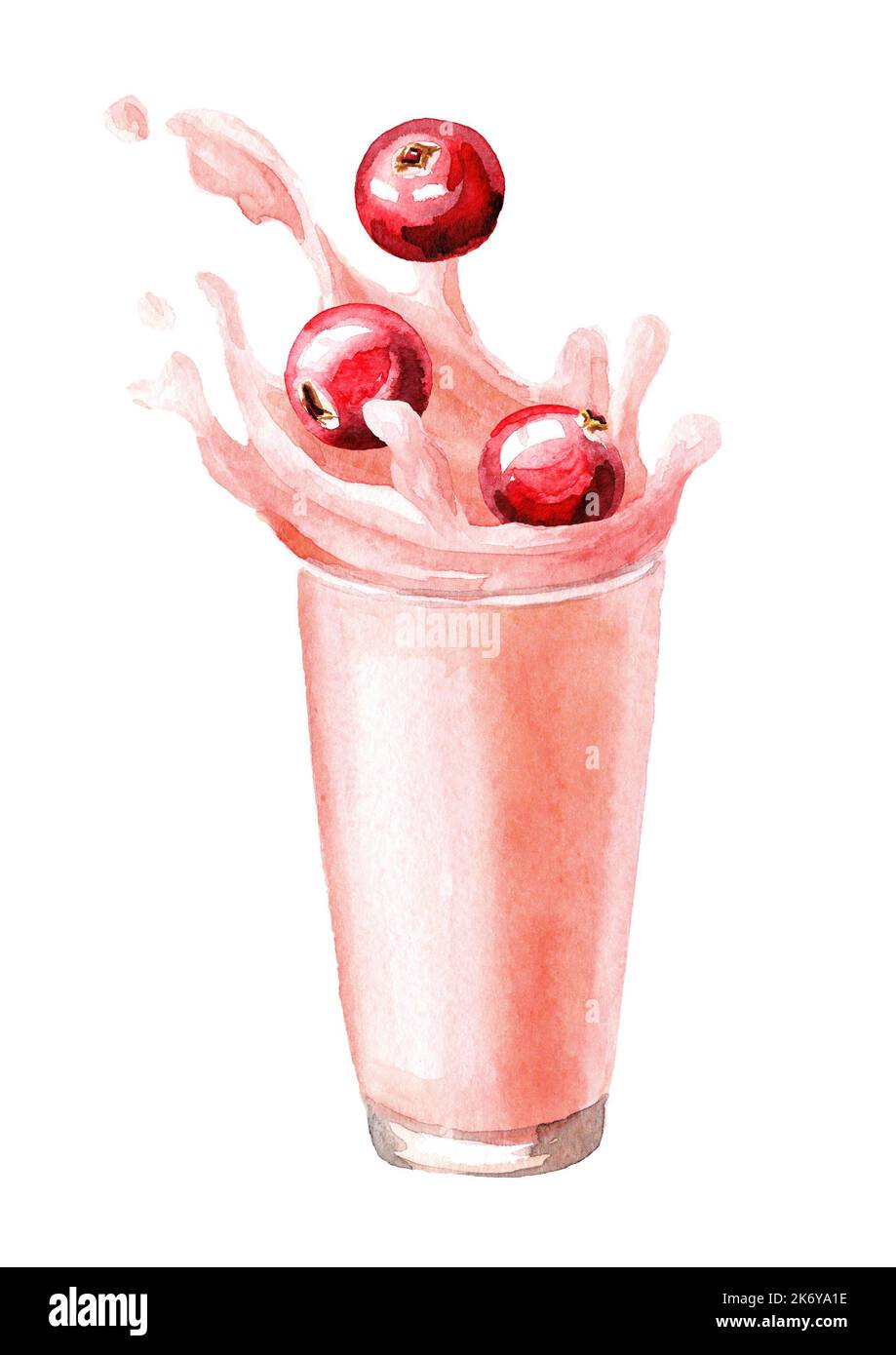 Glass with splash. Fruit wild cranberry milk, yogurt, milkshake. Hand ...