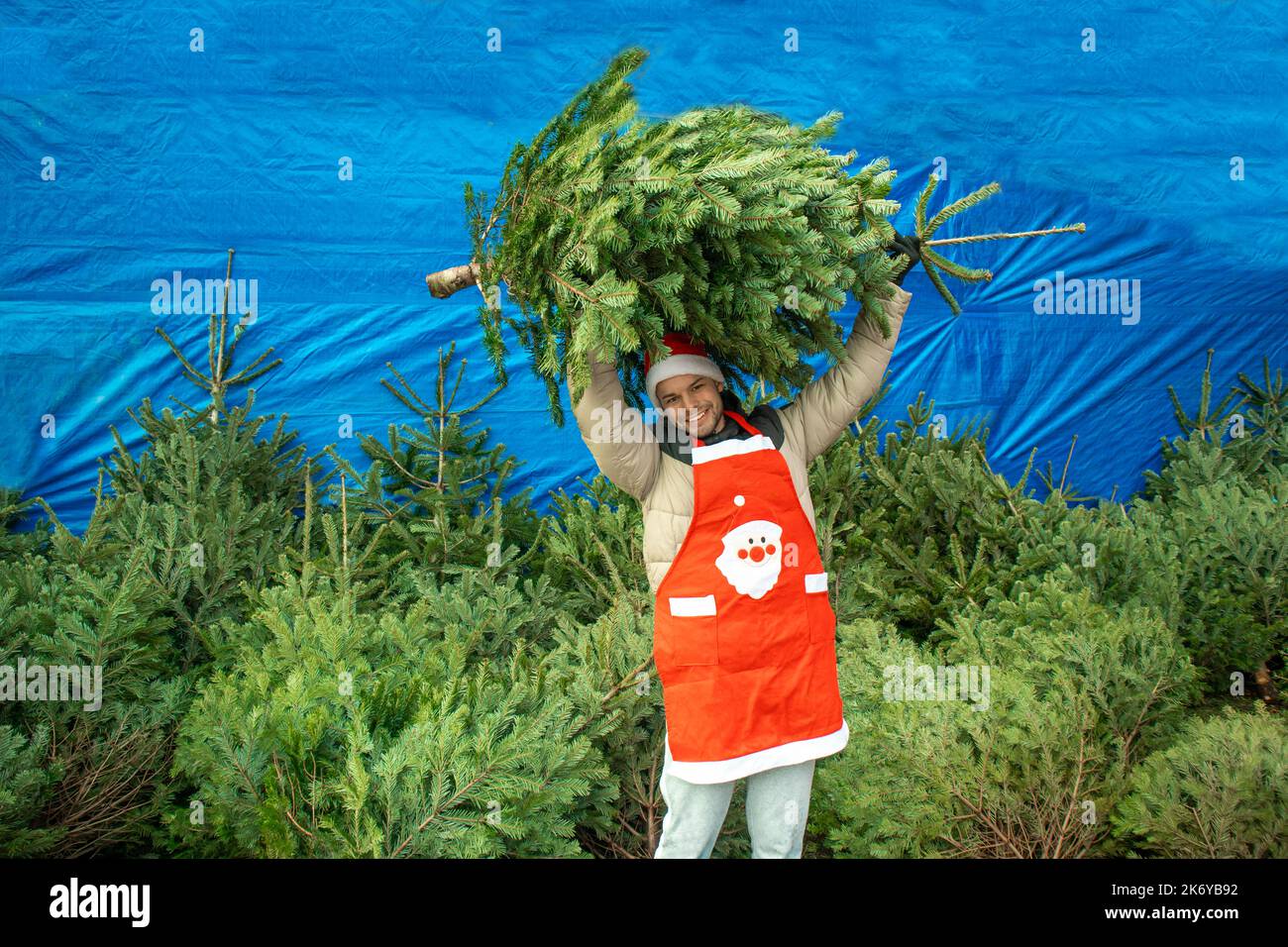 Market. A man in a santa hat and an apron holds a Christmas tree above his head. Stock Photo
