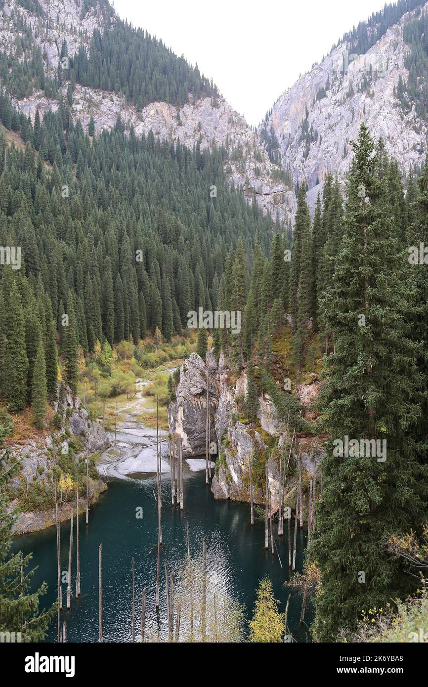 Lake Kaindy 'sunken birch forest', Kolsay Lakes National Park, Saty, Tien Shan mountains, Almaty Region, Kazakhstan, Central Asia Stock Photo