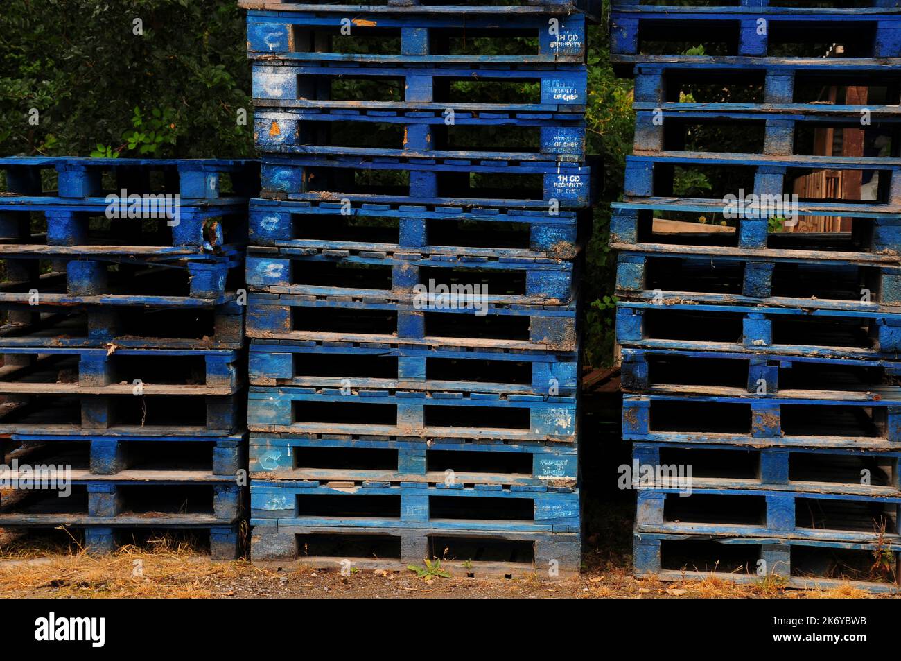 Stack of blue wooden pallets Stock Photo Alamy