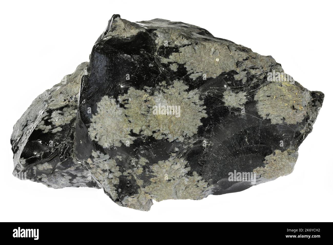 snowflake obsidian from Mexico isolated on white background Stock Photo