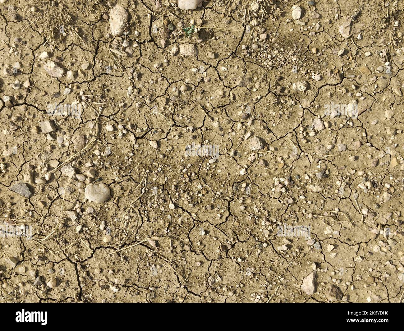 Seamless Texture dry dirt, high quality Stock Photo
