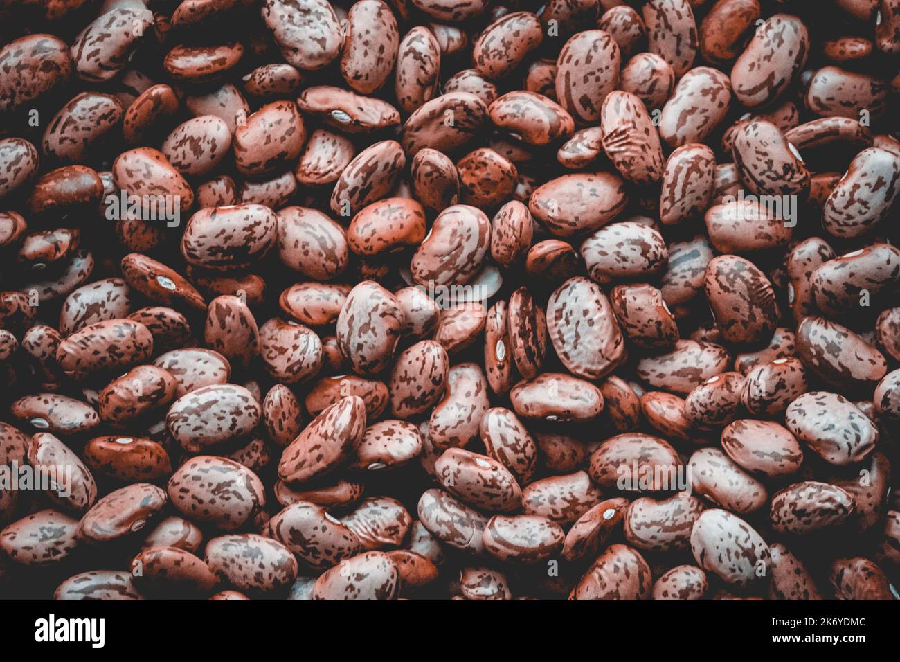 Seamless Texture pinto beans, high quality Stock Photo Alamy