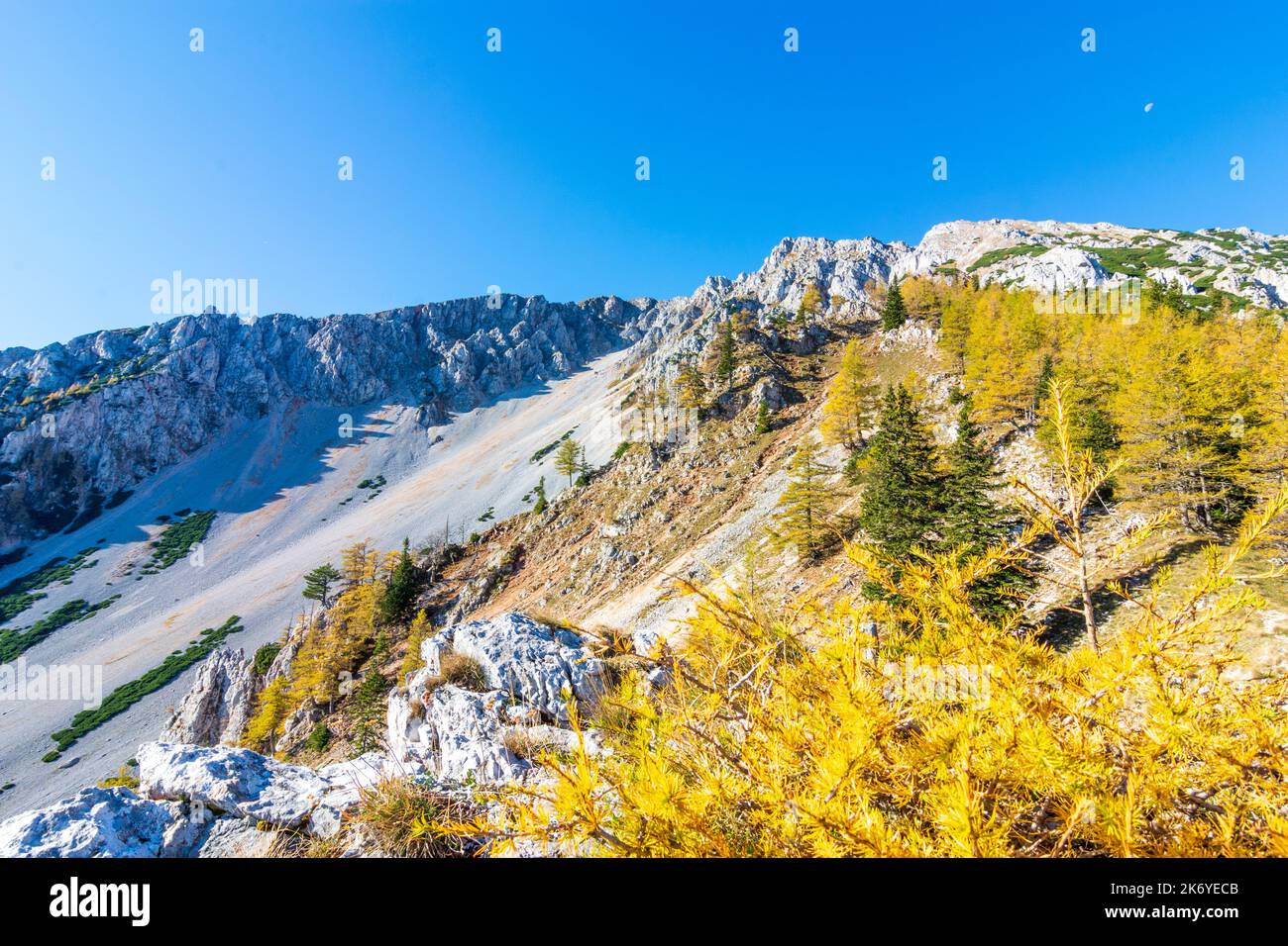 Puchberg am Schneeberg: path Nandelsteig up to mountain Schneeberg, autumn colors in Wiener Alpen, Alps, Niederösterreich, Lower Austria, Austria Stock Photo