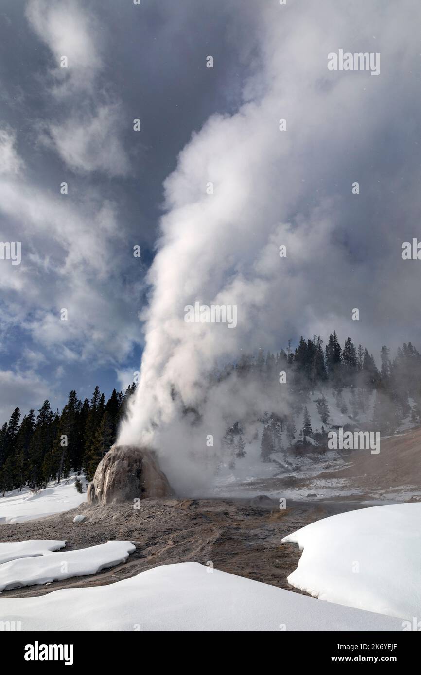WY05093-00.....WYOMING - Lone Star Geyser erupting on a  winter day, Yellowstone National Park. Stock Photo