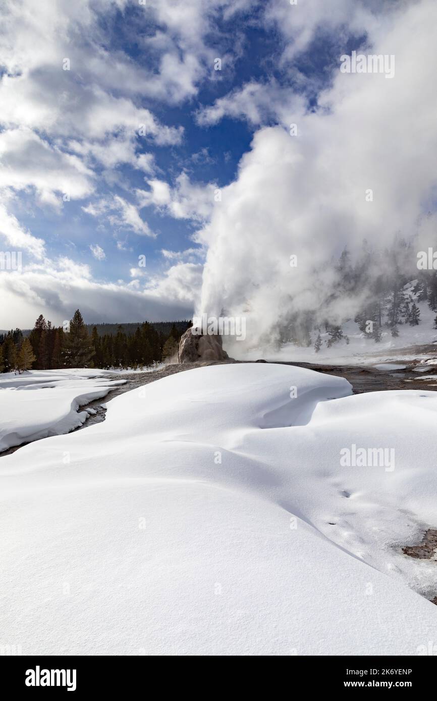 WY05094-00.....WYOMING - Lone Star Geyser erupting on a  winter day, Yellowstone National Park. Stock Photo