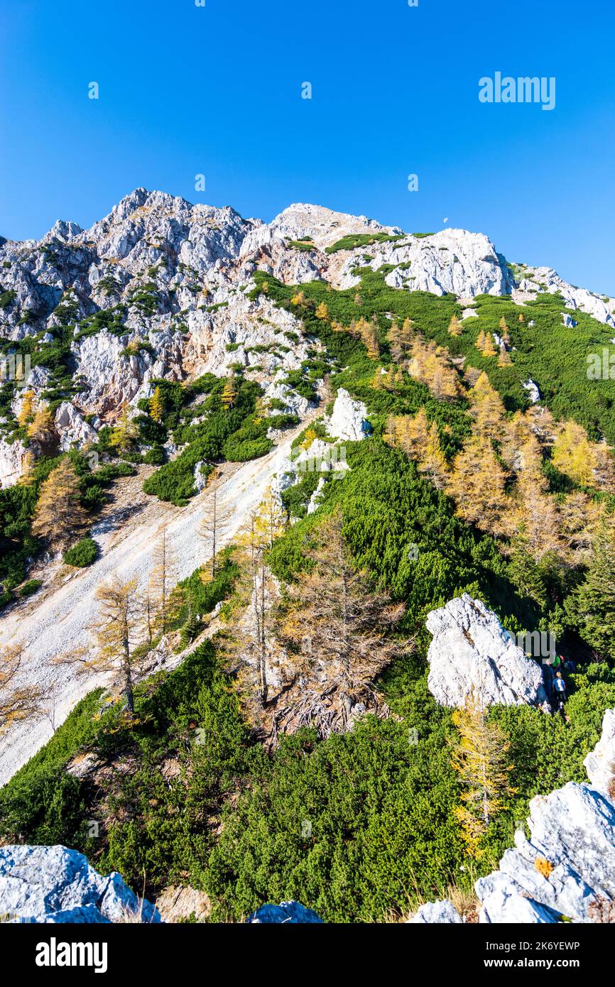 Puchberg am Schneeberg: path Nandelsteig up to mountain Schneeberg, autumn colors in Wiener Alpen, Alps, Niederösterreich, Lower Austria, Austria Stock Photo